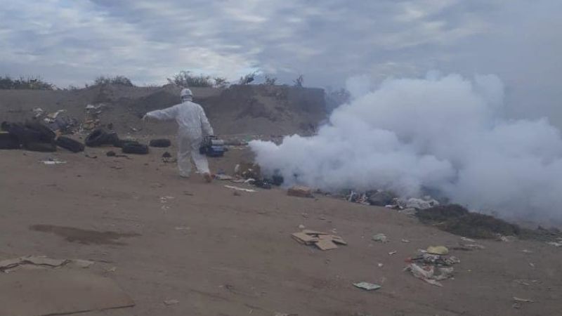 Santa María refuerza tareas de fumigación y desinfección