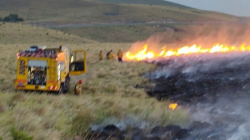 Combaten un incendio forestal de magnitud en el Cerro Ancasti