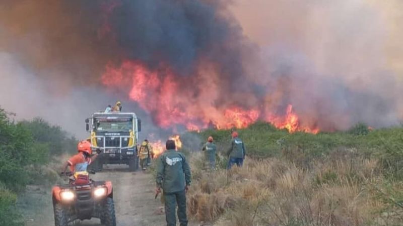 Piden que no se autoconvoquen para combatir incendio forestal