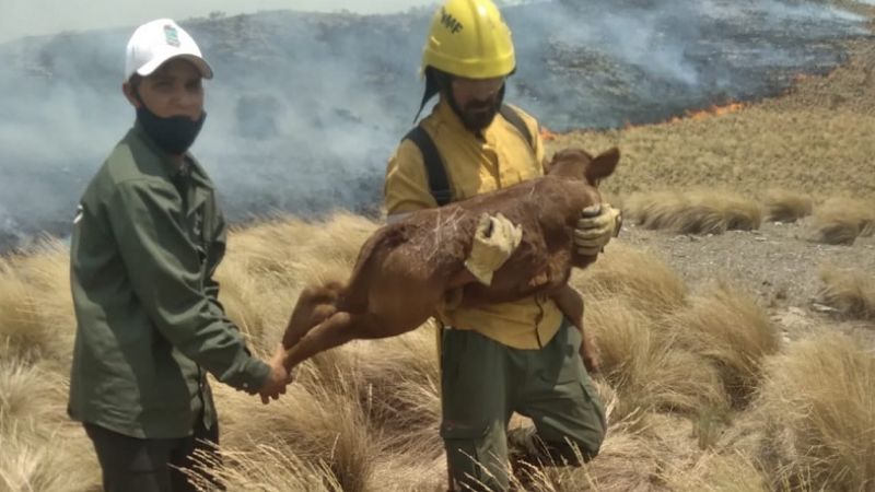 200 personas combaten el incendio en el Cerro Ancasti