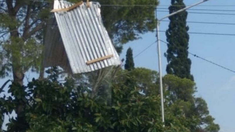 Se cayeron 30 postes de luz en el Este