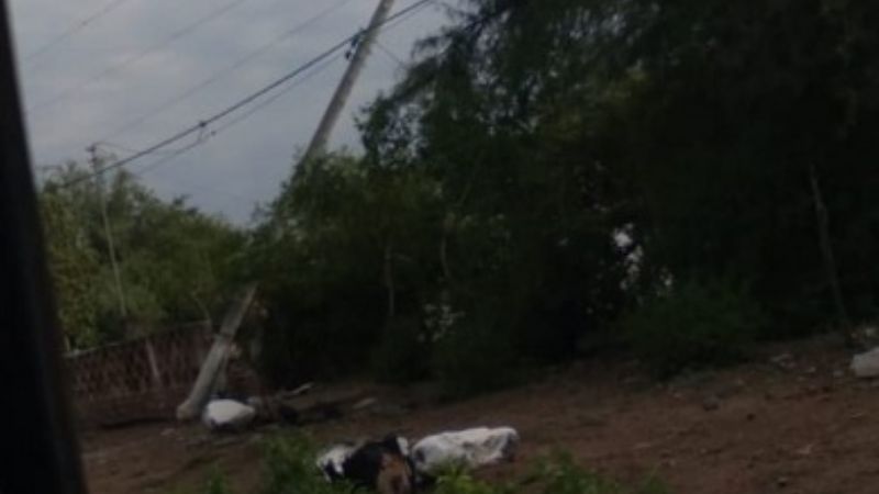 Se cayeron 30 postes de luz en el Este