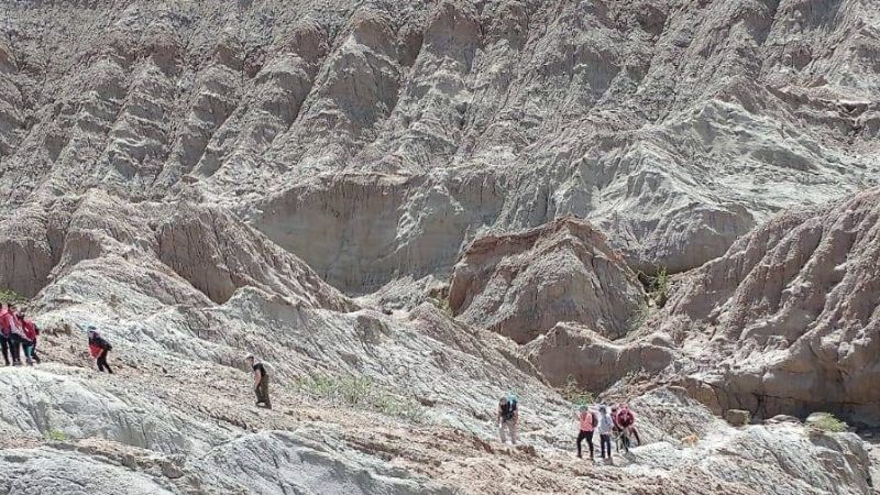 Visitas guiadas a sitios turísticos en San José