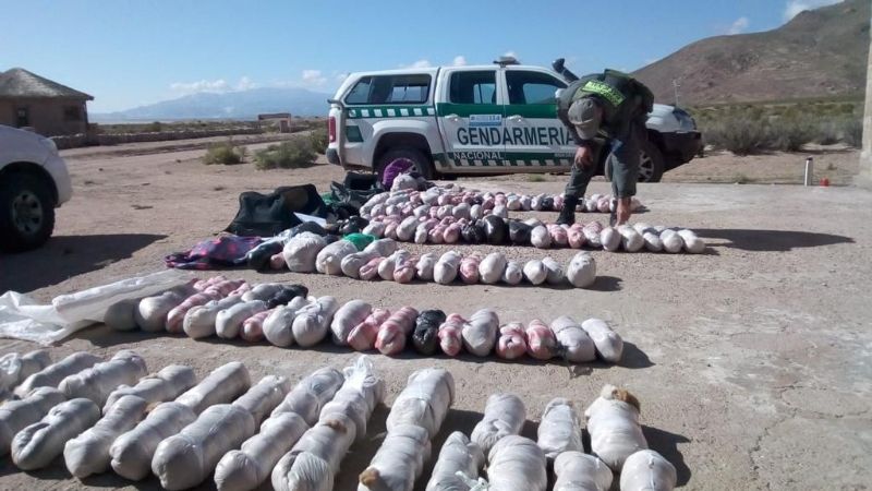 Incautan 65 kilos de fibra de vicuña sin documentación legal