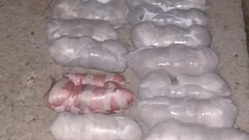 Incautan 65 kilos de fibra de vicuña sin documentación legal