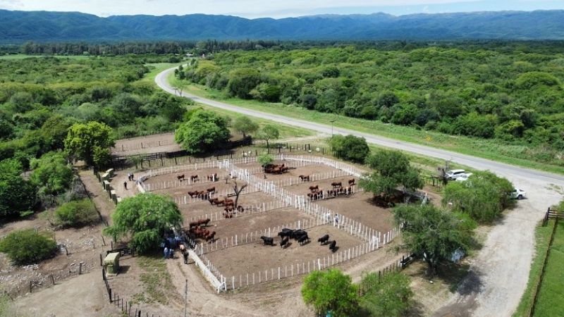 El Gobernador recorrió campos productivos del Valle Central y el Este