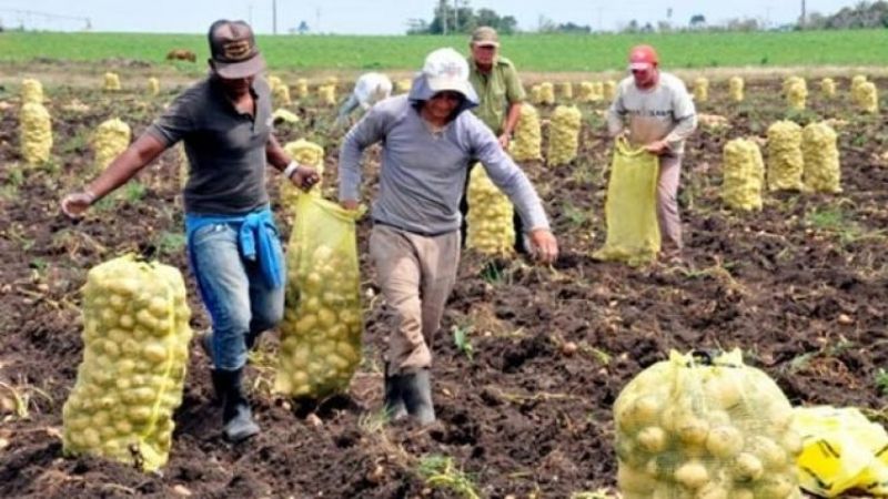 Protocolo para el ingreso de cosecheros a la provincia