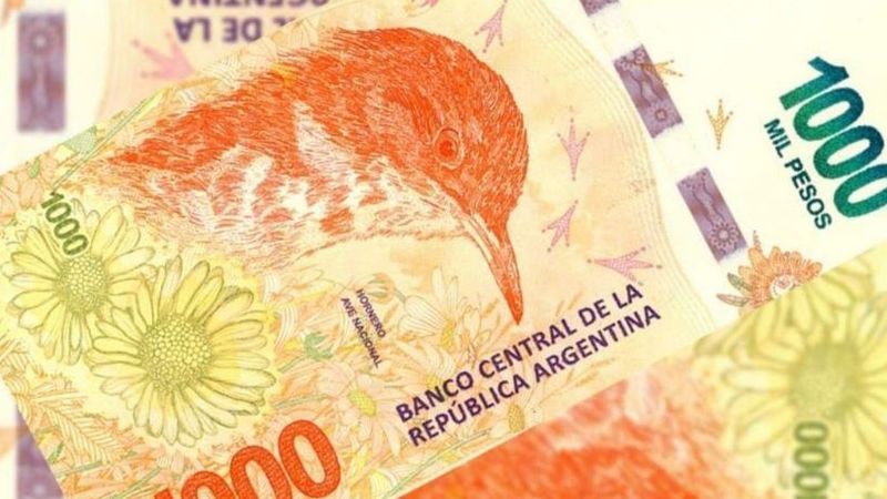 Todos los pagos de ANSES, ¿quiénes cobran hoy?