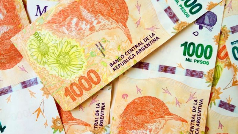 Pagos de ANSES: cronograma confirmado para febrero