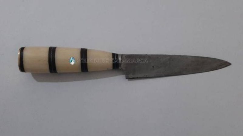 Quiso apuñalar a un policía