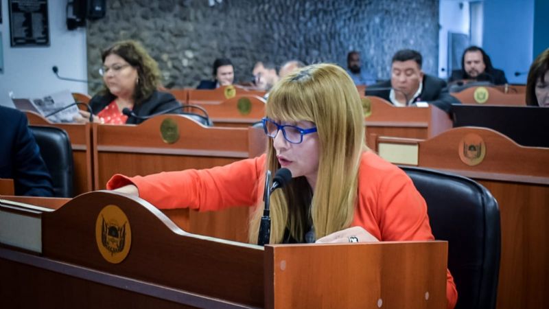 Diputados aprobó la creación de la Casa de la Niñez y la Familia