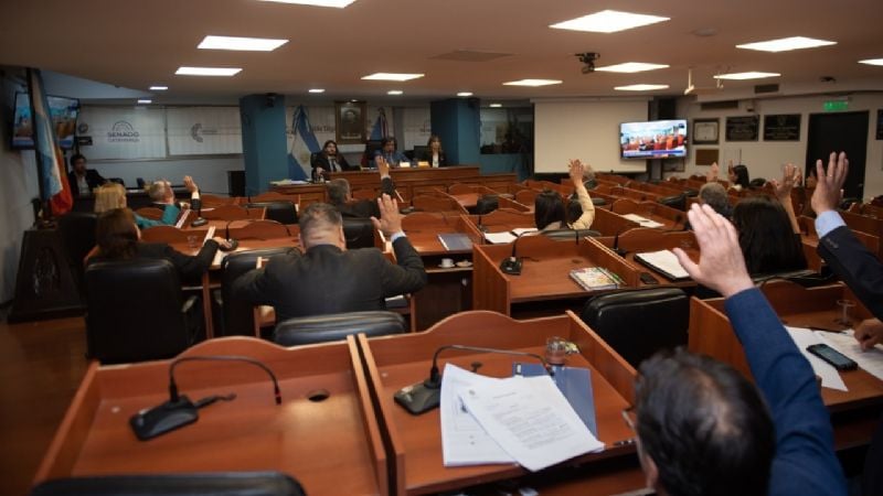 Intenso trabajo legislativo en el Senado Provincial