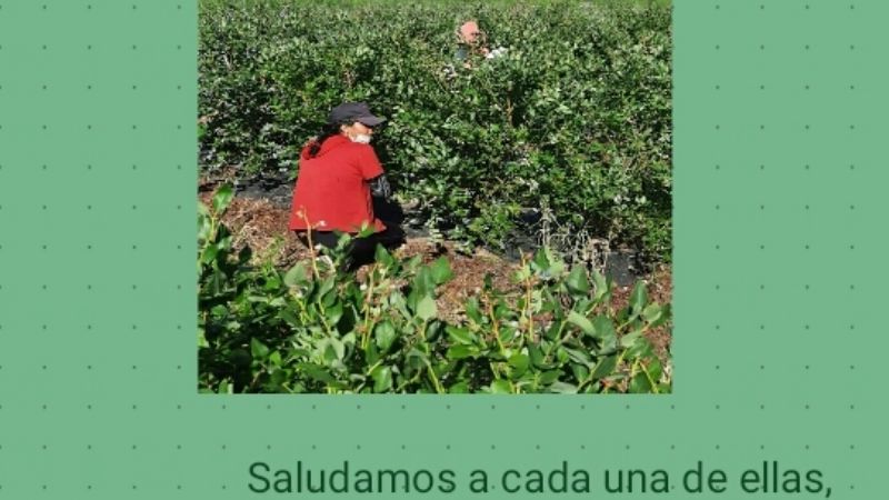 15 de octubre, es el Día Internacional de la Mujer Rural