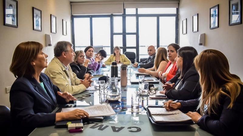 Inició el tratamiento de los proyectos para la reforma de la Constitución