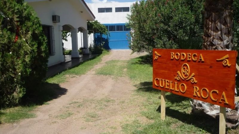 Bodega podría cerrar sus puertas por falta de mano de obra