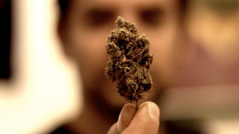 Se viene el primer festival cannábico de Catamarca