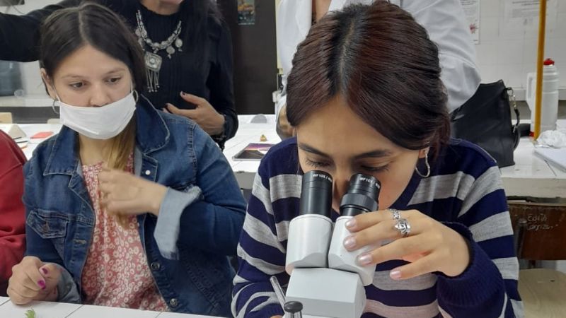 Semana de la Ciencias 2022, en la FACEN: la ciencia en acción