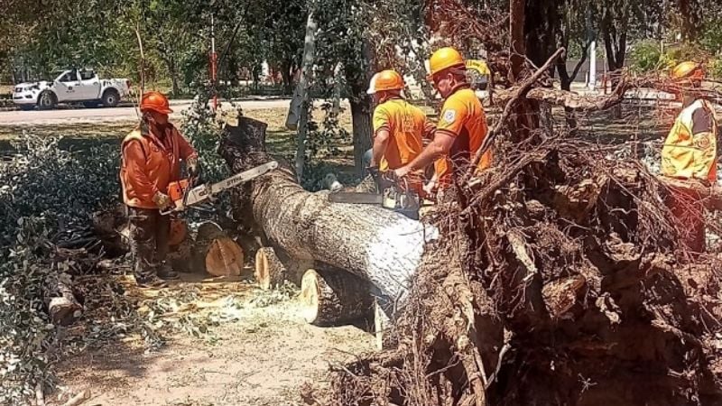 Por el fuerte viento, Defensa Civil asistió a vecinos afectados