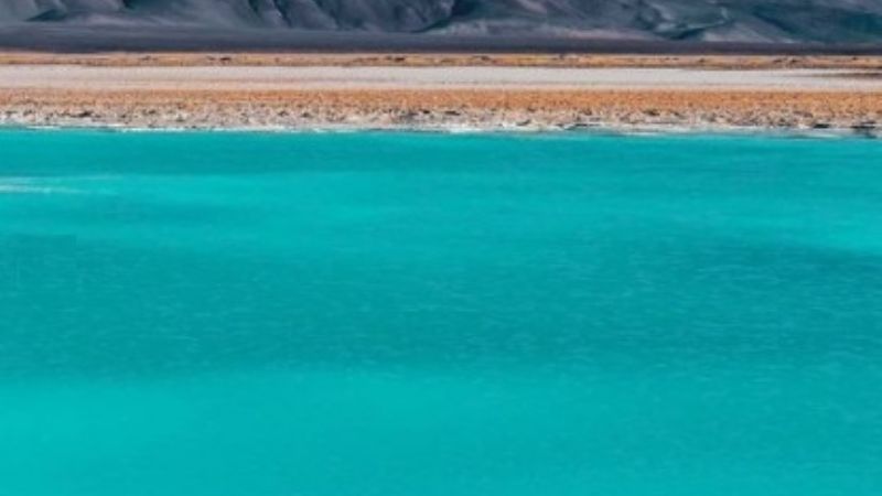 ¿Un salar que produce oxígeno como un bosque?: sólo en Catamarca