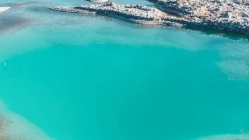 ¿Un salar que produce oxígeno como un bosque?: sólo en Catamarca