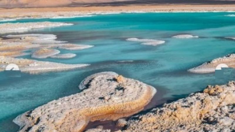 ¿Un salar que produce oxígeno como un bosque?: sólo en Catamarca