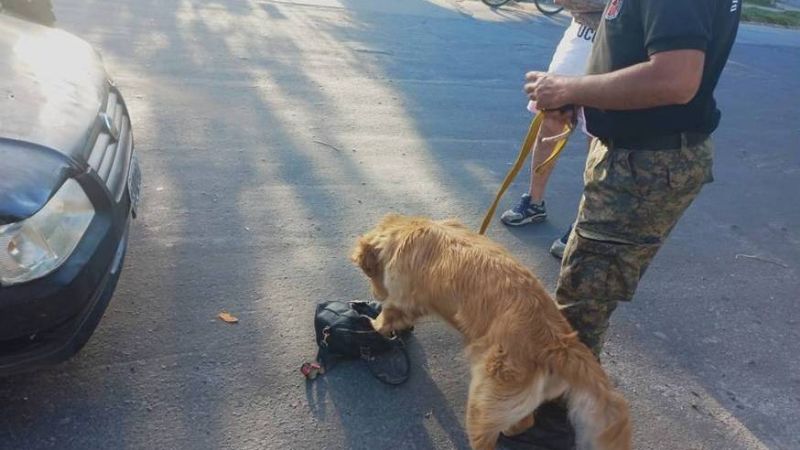 Con un gran operativo buscan terminar con las balaceras en Mil Viviendas