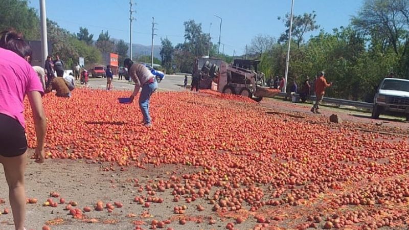 Volcó un acoplado y esparció tomates