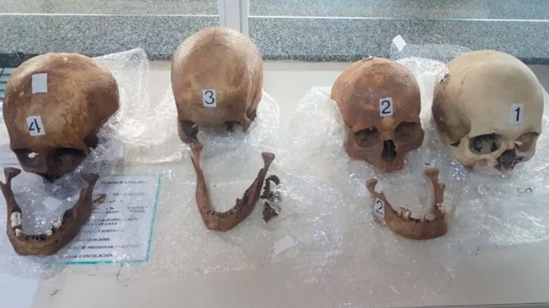 Macabro hallazgo en Formosa: encontraron cuatro cráneos humanos en una valija