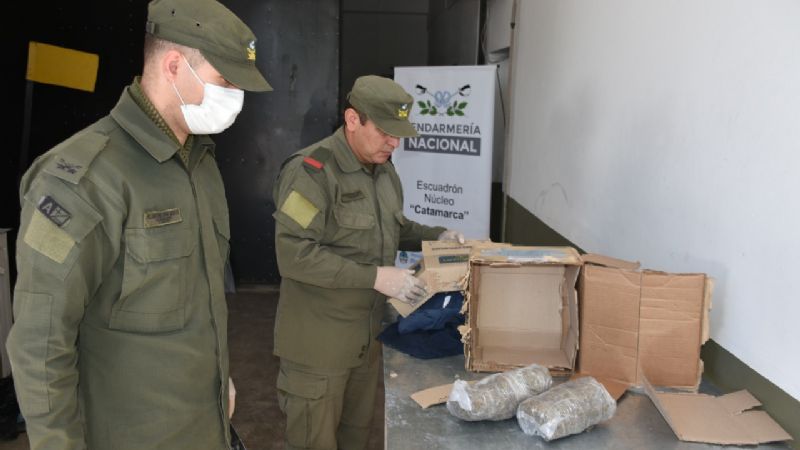 Transportaban droga en la bodega de un colectivo