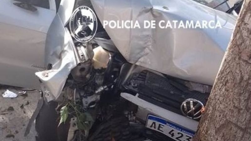 Chocaron contra un árbol