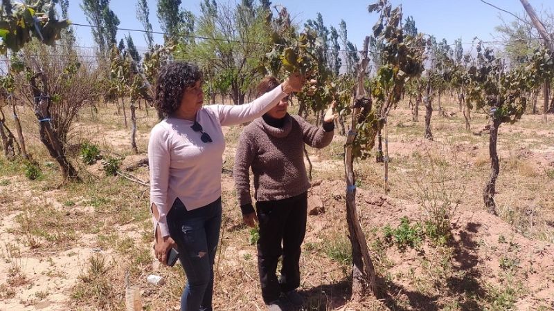 Fiambalá gestiona asistencia a productores afectados