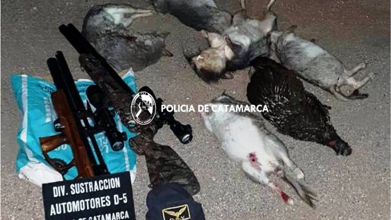 Atraparon a cazadores furtivos