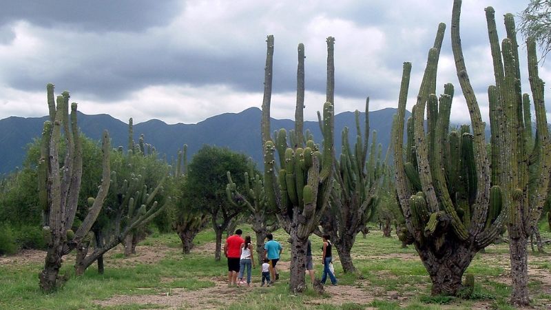 Lunes y martes estarán cerradas la Casa de la Puna y Pueblo Perdido de la Quebrada