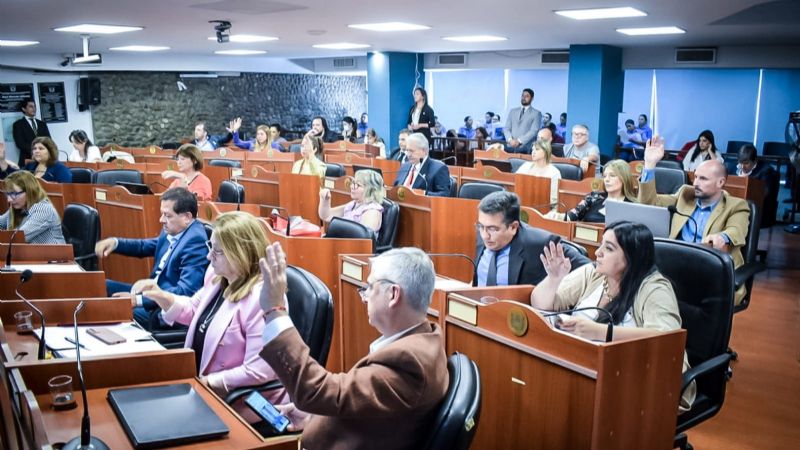 Diputados rechazó el veto a la Ley Prestación Alimentaria Básica Parental