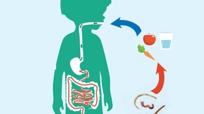 Campaña de prevención de parasitosis