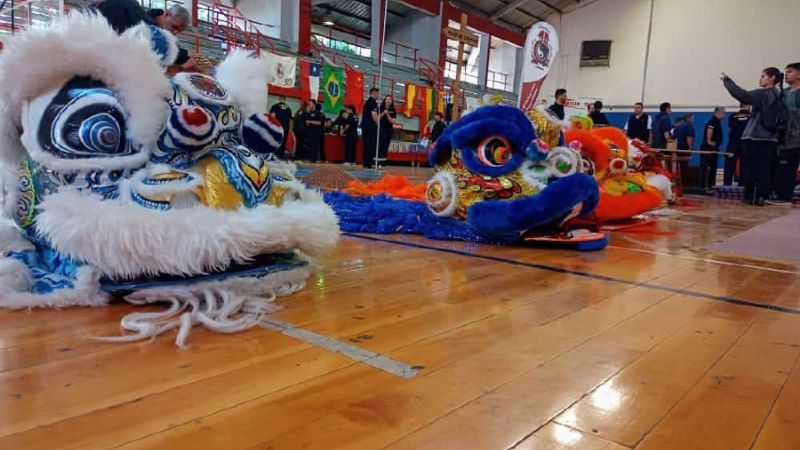 “Catas” campeones de Kung Fu en Mendoza