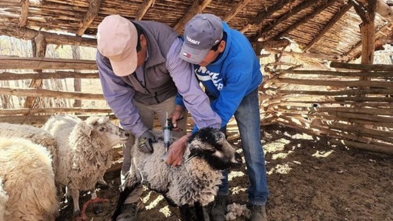 Avanza el proyecto del Frigorífico Multiespecie en Fiambalá