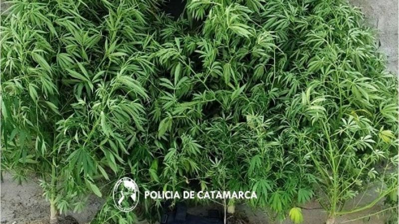 Detienen a dos hombres y secuestran droga en Andalgalá