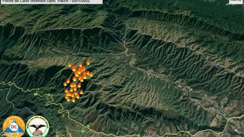 El viento avivó incendios forestales