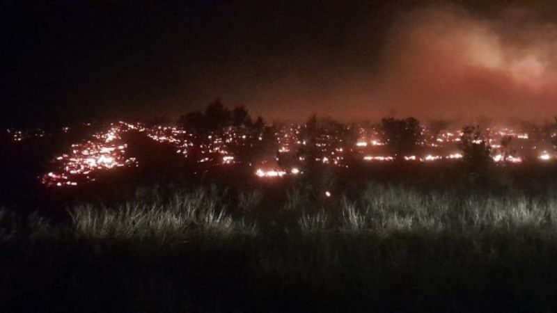 El viento avivó incendios forestales