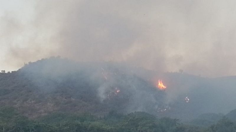 Situación de los incendios forestales