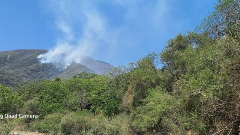 Situación de los incendios forestales