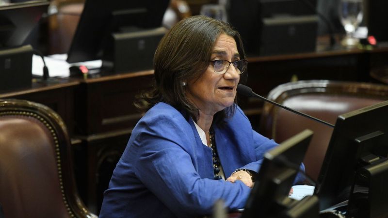 Corpacci presentó un Proyecto de Ley para facilitar el acceso a la información en personas con discapacidad