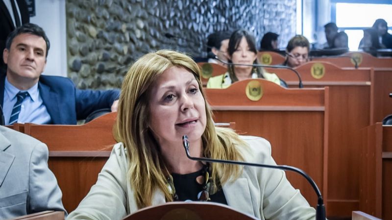 Destacaron a joven escritor catamarqueño