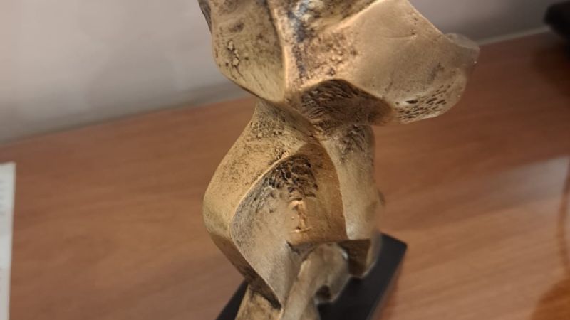 Capital premiada a nivel nacional por su trabajo en Educación y Seguridad Vial