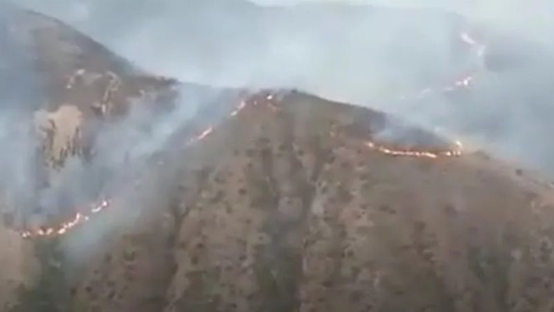 Confirman que los incendios afectaron la calidad del agua