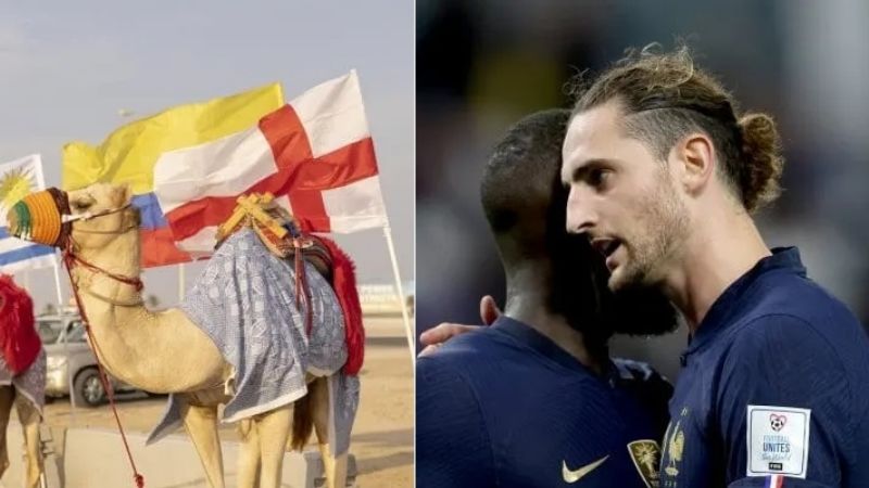 El "virus del camello" afectó a tres jugadores franceses