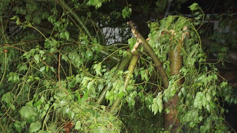 Se reportan severos daños por el temporal