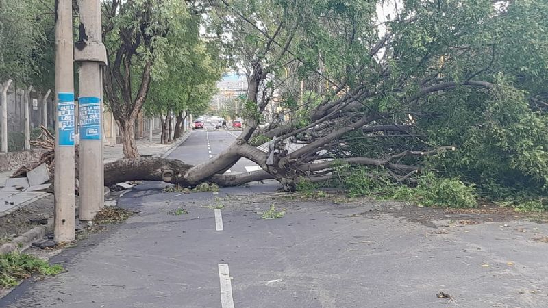 Más imágenes de los destrozos del temporal
