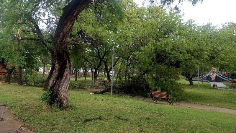 Más imágenes de los destrozos del temporal